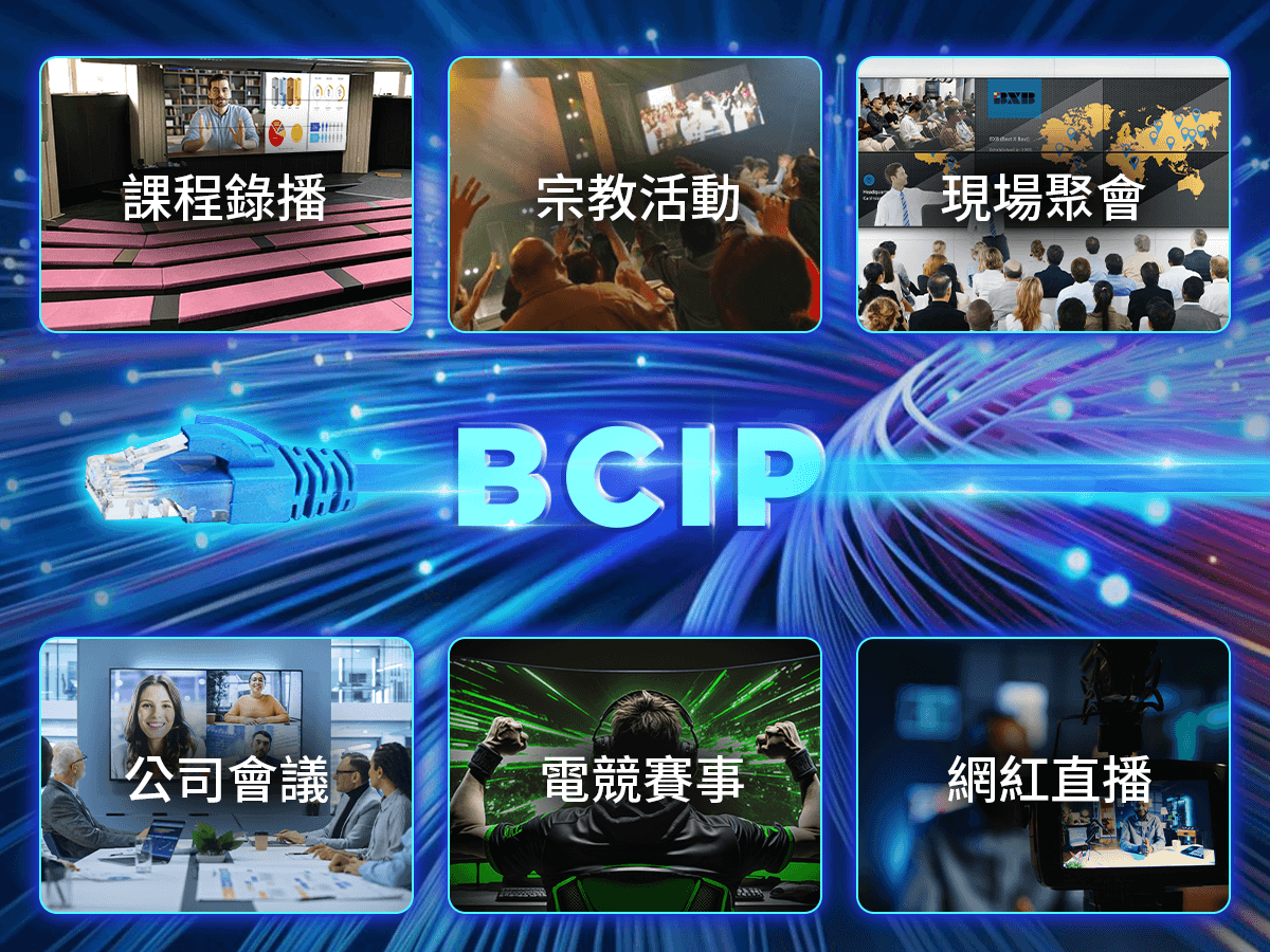 BCIP_04